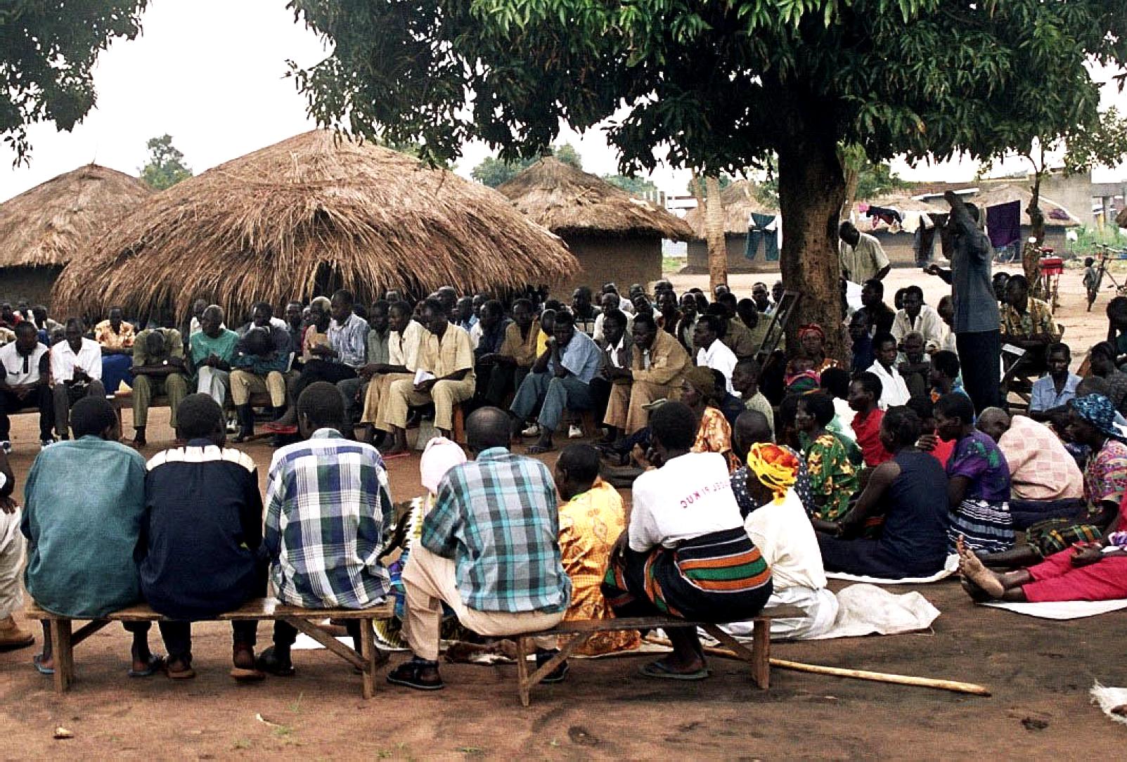 A large outdoor gathering seated beneath trees.