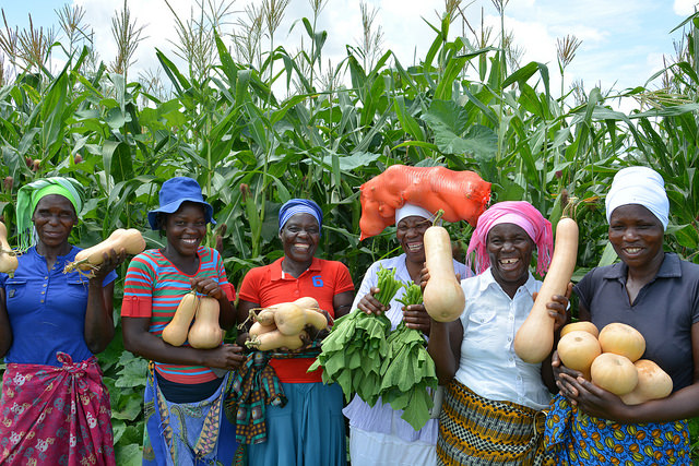 Women holding harvested vegetables in front of a maize field.